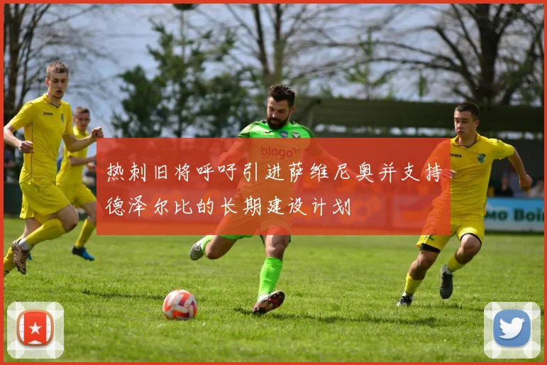 热刺旧将呼吁引进萨维尼奥并支持德泽尔比的长期建设计划
