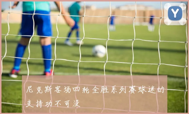 尼克斯客场四轮全胜系列赛球迷的支持功不可没