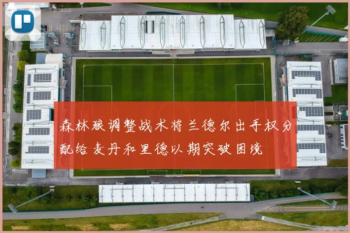 森林狼调整战术将兰德尔出手权分配给麦丹和里德以期突破困境